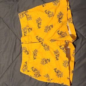 Shorts, loft, never worn